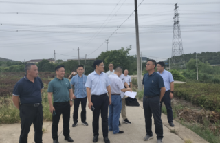 威海镇江市丹徒区政府副区长胡光亮、上党镇五塘村村民委员会书记陈永飞、江苏华电句容分公司项目办陈志荣主任、江苏环球国际新能源集团公司总经理郑海青一行考察万亩茶园光伏项目