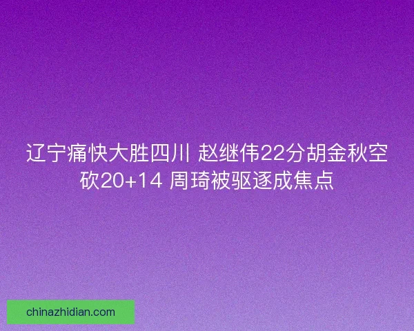 辽宁痛快大胜四川 赵继伟22分胡金秋空砍20+14 周琦被驱逐成焦点