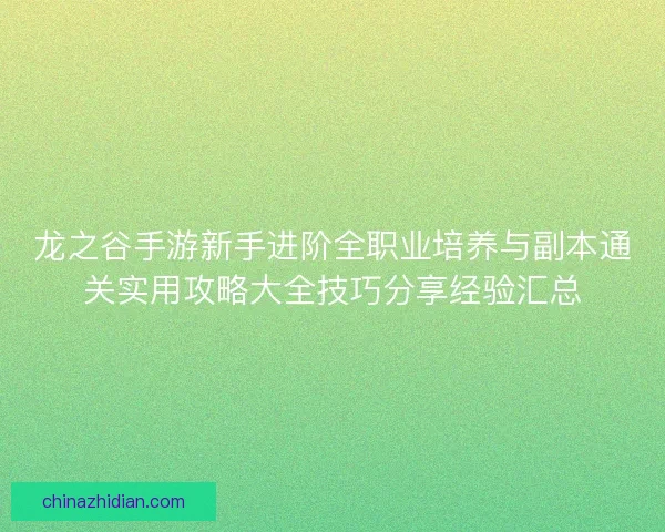 龙之谷手游新手进阶全职业培养与副本通关实用攻略大全技巧分享经验汇总